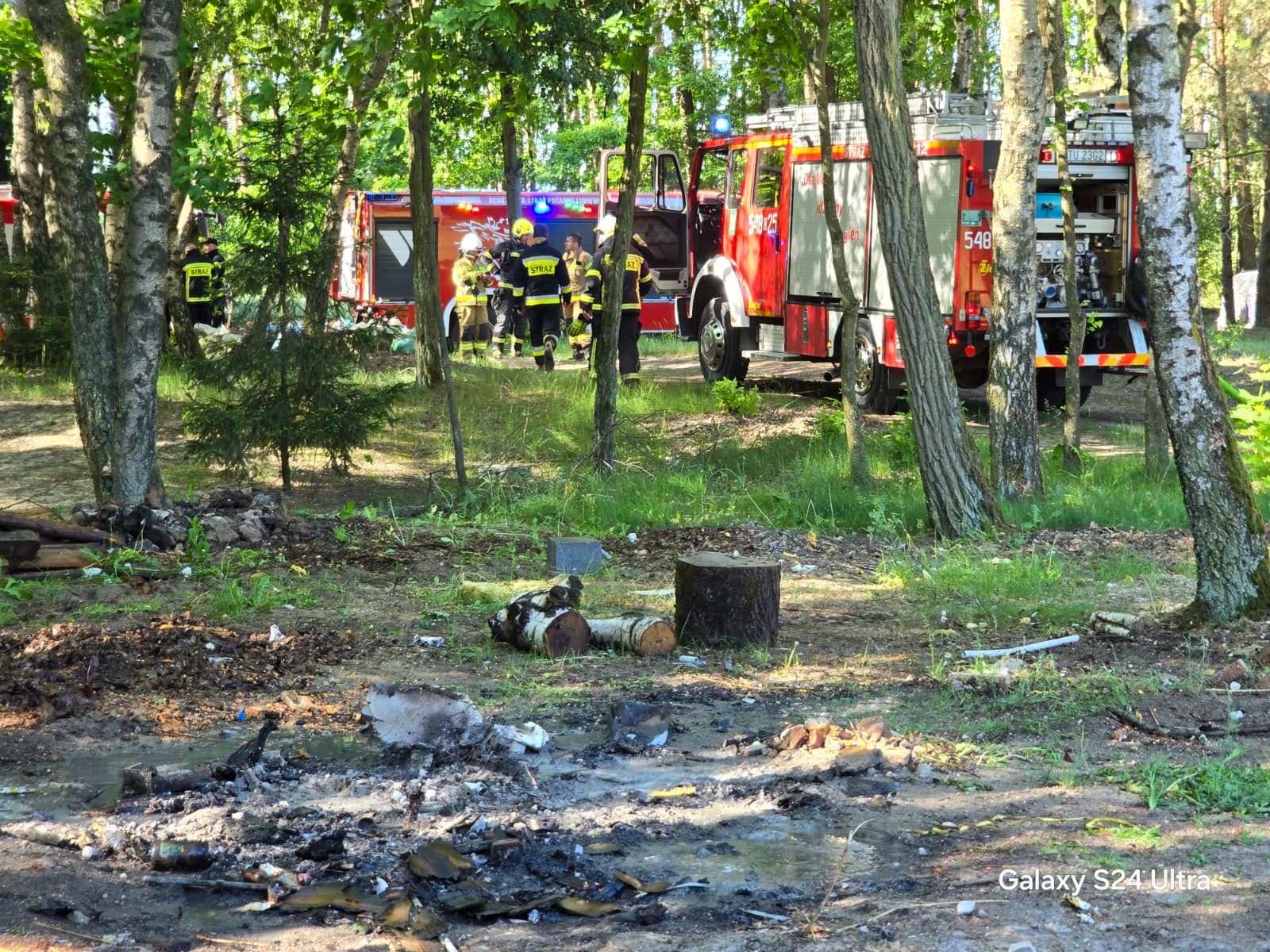 Skrajna nieodpowiedzialność. Palił śmieci w lesie. Dostał maksymalny mandat (FOTO)