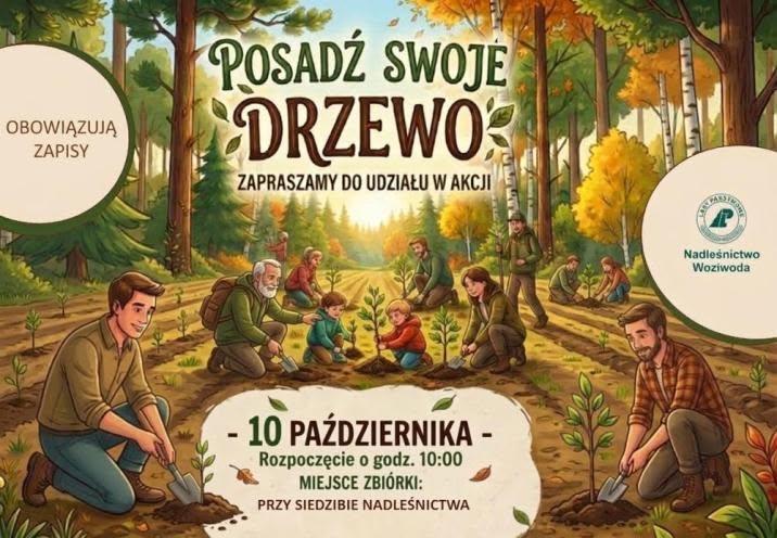 Posadź swoje drzewo w Nadleśnictwie Woziwoda