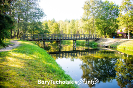 Zdjęcie 10