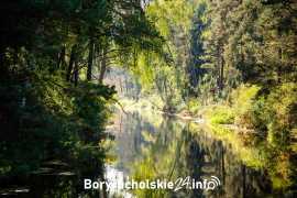 Zdjęcie 11