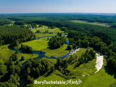 Zdjęcie 10