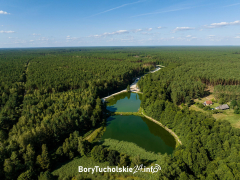 Zdjęcie 10