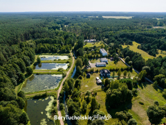 Zdjęcie 11