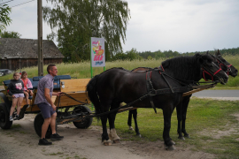 Zdjęcie 6