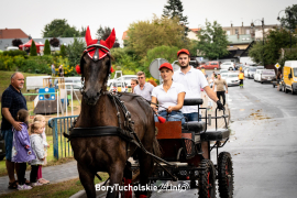 Zdjęcie 16
