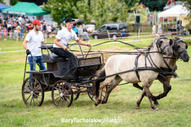 Zdjęcie 49