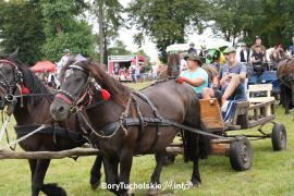 Zdjęcie 155