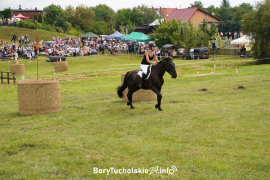 Zdjęcie 102