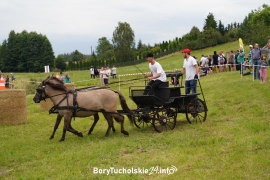 Zdjęcie 118