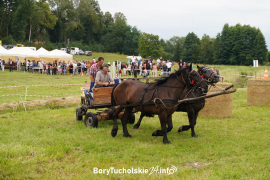 Zdjęcie 120