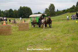 Zdjęcie 121