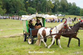 Zdjęcie 122