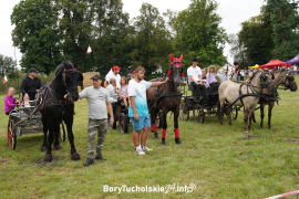 Zdjęcie 132