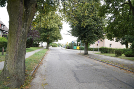Zdjęcie 11