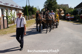 Zdjęcie 42