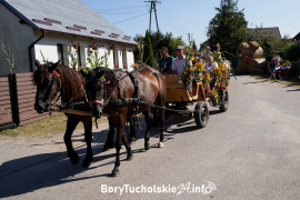 Zdjęcie 43