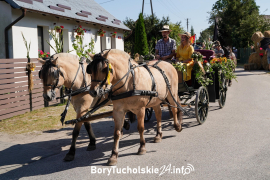 Zdjęcie 45