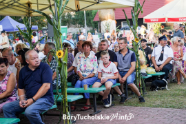 Zdjęcie 135