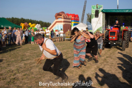 Zdjęcie 111