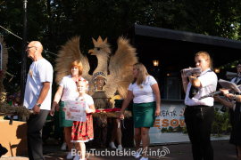 Zdjęcie 44