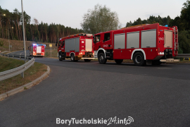 Zdjęcie 13