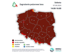 Zdjęcie 1