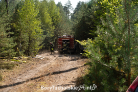 Zdjęcie 14