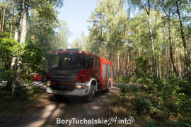 Zdjęcie 16