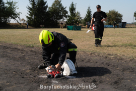 Zdjęcie 14