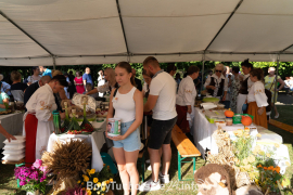 Zdjęcie 26