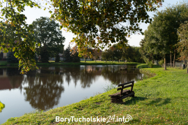 Zdjęcie 38