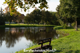 Zdjęcie 39