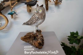 Zdjęcie 28