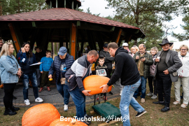 Zdjęcie 49