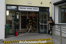 Zdjęcie 3