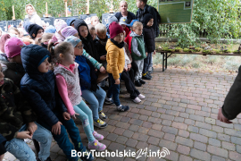 Zdjęcie 11