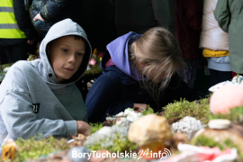 Zdjęcie 15