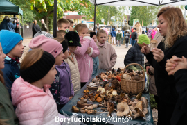 Zdjęcie 40