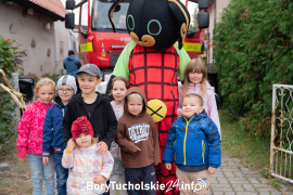 Zdjęcie 16