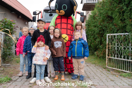 Zdjęcie 6