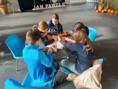 Zdjęcie 48