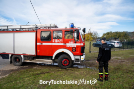 Zdjęcie 17
