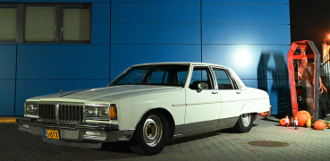 Zdjęcie 80