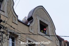 Zdjęcie 11