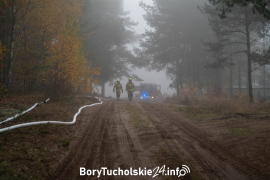 Zdjęcie 10