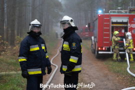 Zdjęcie 17