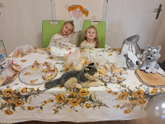 Zdjęcie 4