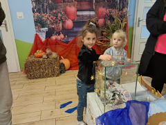 Zdjęcie 31