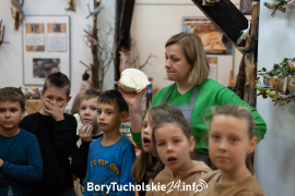 Zdjęcie 11