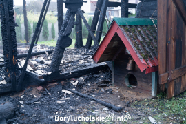 Zdjęcie 33
